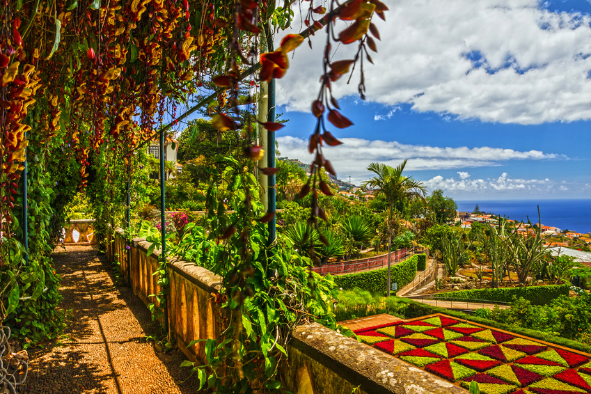 Reisetrends 2018: Madeira