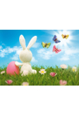 reise Partnerprogramm ostern