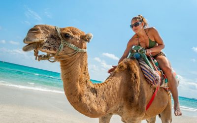 Tunesien Urlaub ist der Renner 2018