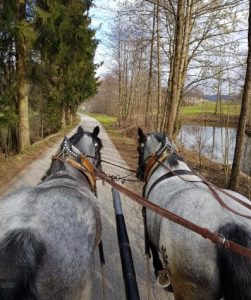 Kutzfahrt bei der Aldiana Inforeise