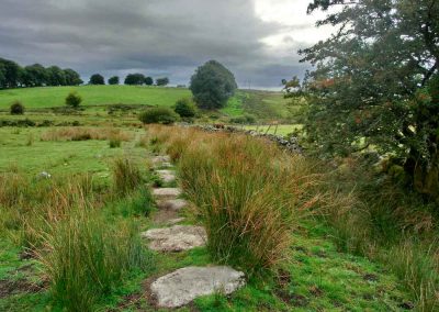 Blick über Dartmoor