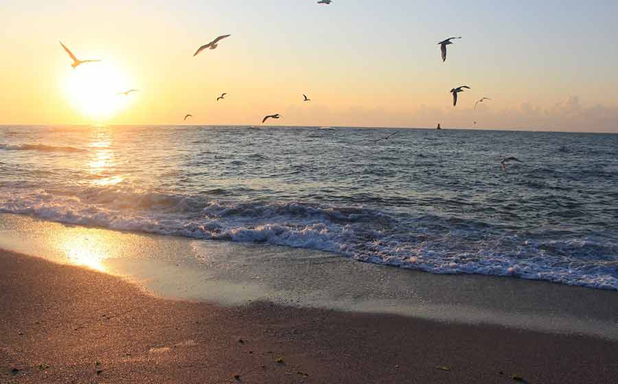 Bulgarien-Inforeise zu Goldstrand und Sonnenstrand