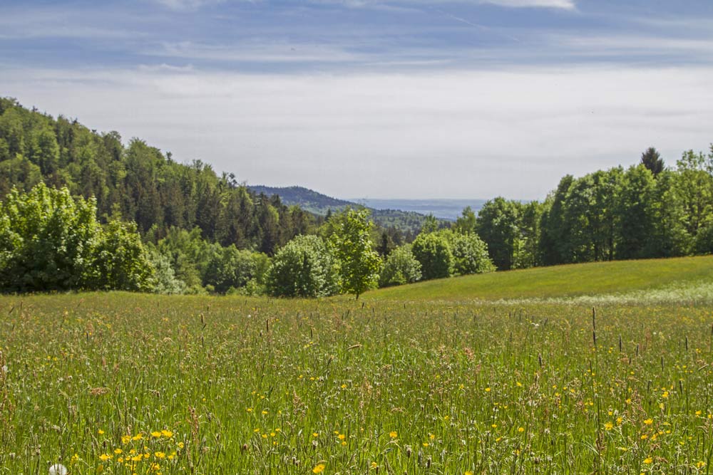 Wohnen und Arbeiten im Landkreis Deggendorf