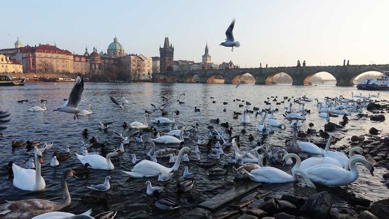 Prag im Herbst: ideal für eine Städtereise